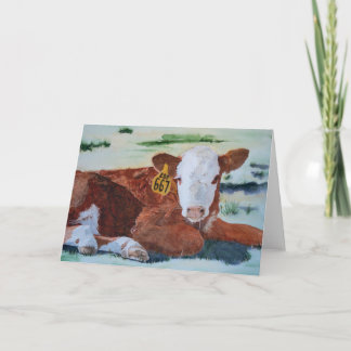 Carte Hereford Calf