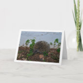 Carte Hérisson dans le portrait de jardin (Devant)