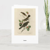 Carte Hermite Thrush, Grey Jay Audubon's Birds of Americ (Dos)