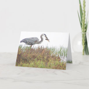Carte Heron Birds Animaux sauvages Zones humides