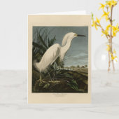 Carte Héron de neige (Egret) - Les oiseaux d'Amérique d' (Fleur jaune)