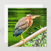 Carte héron vert (Devant / Derrière)