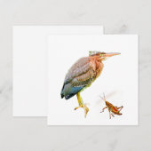 Carte Heron vert et sauterelle (Devant / Derrière)