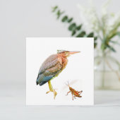 Carte Heron vert et sauterelle (Debout devant)