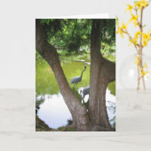 Carte Hérons (Fleur jaune)