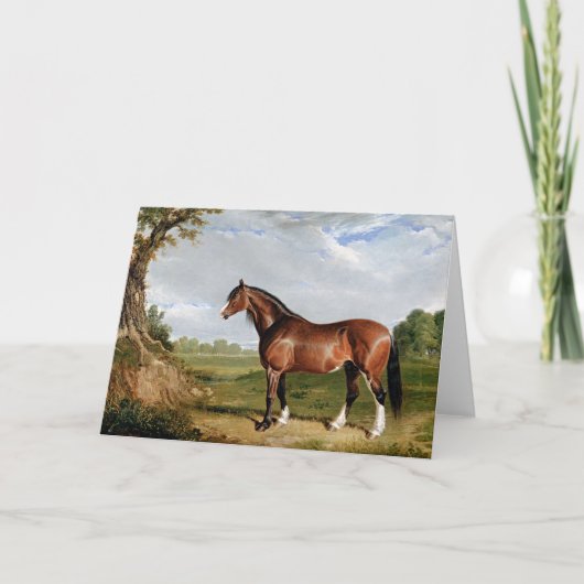 Carte Herring - Un Stallion Clydesdale, (Devant)