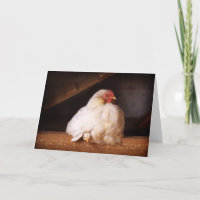 hetty&chick