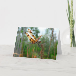 Carte Heure d'alimentation