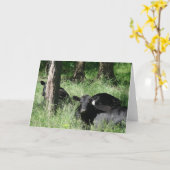 Carte Heure du saut (Fleur jaune)