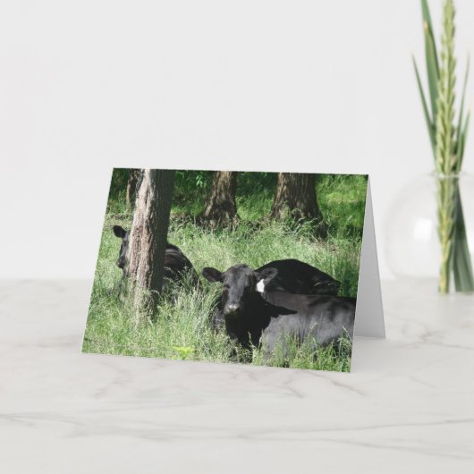 Carte Heure du saut (Devant)