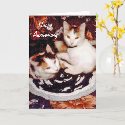 Carte heureuse de chat d'anniversaire (Fleur jaune)