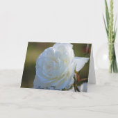 Carte heureuse de fiançailles (Dos)