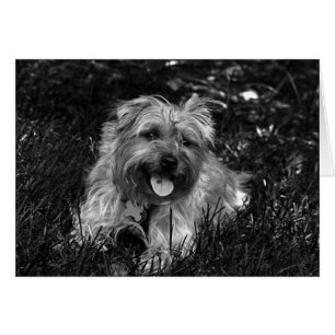 Carte heureuse de garçon