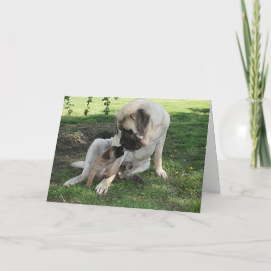 Carte heureuse de mastiff de papa de jour de (Devant)