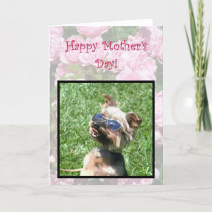 Carte heureuse de Yorskshire Terrier de cool du