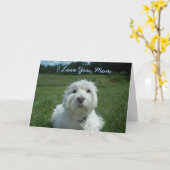 Carte heureuse du jour de mère de maman de Westie (Fleur jaune)