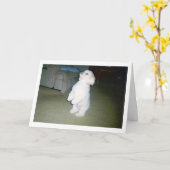 Carte heureuse maltaise de fête des pères (Fleur jaune)