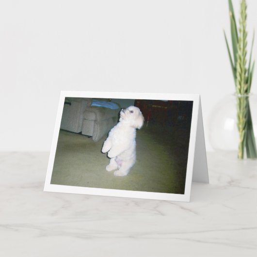 Carte heureuse maltaise de fête des pères (Devant)