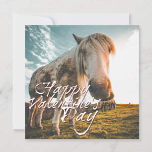 Carte Heureuse Sainte-Valentin avec regard Cheval