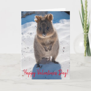 Carte Heureuse Sainte-Valentin Cute Quokka sur la plage