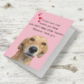 Carte Heureuse Sainte-Valentin De L'Amoureux des chiens
