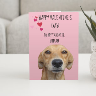 Carte Heureuse Sainte-Valentin Du Chien