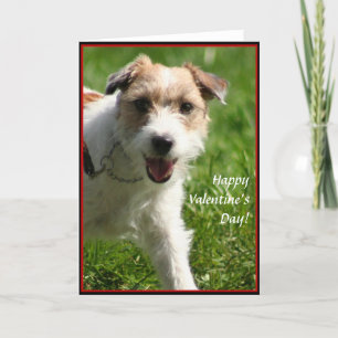 Carte Heureuse Sainte-Valentin Jack Russell Terrie