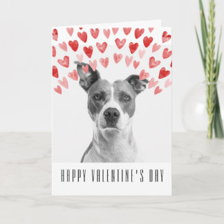 Carte Heureuse Sainte-Valentin personnalisé du chien