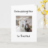 Carte HEUREUX *13e ANNIVERSAIRE À VOUS *GRAND-FILLE* (Fleur jaune)