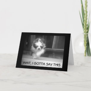 Carte HEUREUX **13e ANNIVERSAIRE** DIT COOL SHEEPDOG