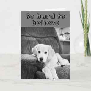 Carte HEUREUX ***60ème*** ANNIVERSAIRE DE CUTE PUP