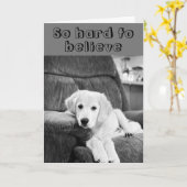 Carte HEUREUX ***70ème*** ANNIVERSAIRE DE CUTE PUP (Fleur jaune)