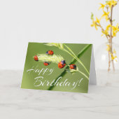 Carte Heureux anniversaire avec 5 petits coccinelles ! C (Fleur jaune)