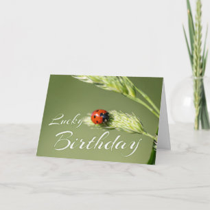 Carte Heureux anniversaire avec un petit coccinelle ! Ca