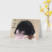 CARTE HEUREUX "ANNIVERSAIRE" DE CUTE SHIH TZU PUP (Fleur jaune)