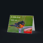 CARTE **HEUREUX ANNIVERSAIRE** DIT BIRDIE<br><div class="desc">HEUREUX ANNIVERSAIRE SOUHAITE DE CETTE BALTIMORE ORIOLE ET DE QUI SIGNE LA CARTE :) MERCI D'ARRÊTER PAR 1 DE MES 8 MAGASINS.</div>
