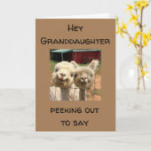 CARTE HEUREUX *ANNIVERSAIRE* **GRAND-FILLE** (Fleur jaune)