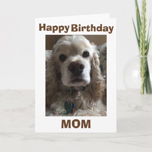 CARTE HEUREUX ANNIVERSAIRE MOM DIT CE COCKER CUTE SPANIE (Devant)