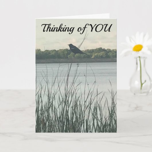 CARTE ***HEUREUX ANNIVERSAIRE*** SOUHAITE QU'IL SOIT "EN (Petite plante)