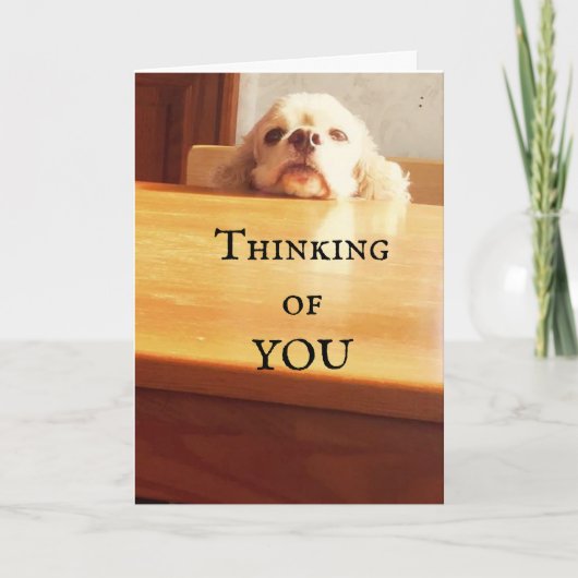 CARTE HEUREUX ***AOÛT ANNIVERSAIRE*** À VOUS! (Devant)