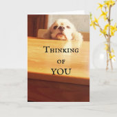 CARTE HEUREUX ***AOÛT ANNIVERSAIRE*** À VOUS! (Fleur jaune)