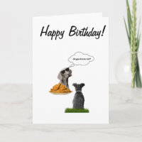 Heureux chiens d'anniversaire bons amis