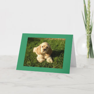 CARTE HEUREUX DE VOTRE NOUVEAU "FILS"