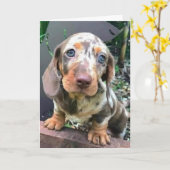 CARTE ***HEUREUX POUR VOUS***/** VOUS MANQUERA AUSSI*** (Fleur jaune)