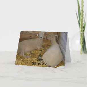 CARTE HEUREUX QUE CE SOIT "NOTRE" ANNIVERSAIRE