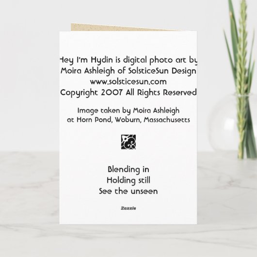 Carte Hey I'm Hydin (Dos)