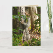 Carte Hey I'm Hydin (Devant)