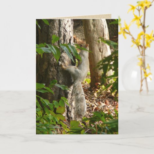 Carte Hey I'm Hydin (Fleur jaune)