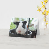 Carte Hi Guinea Pig (Fleur jaune)