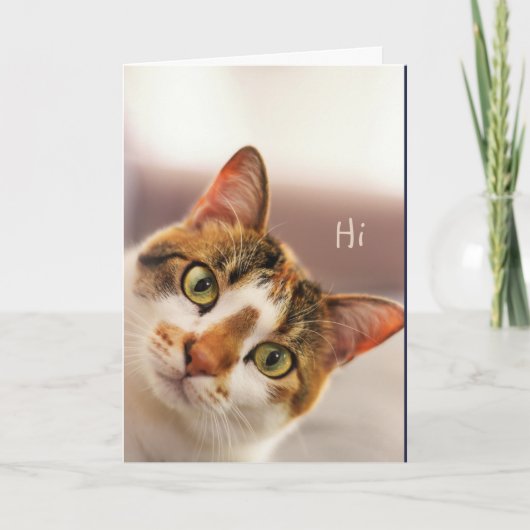 Carte Hi Thinking of you Cute Cat Kitten Animal  (Devant)